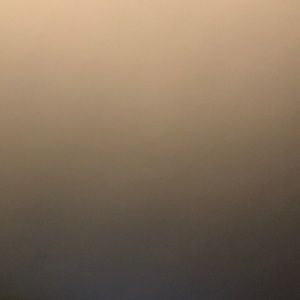 Meet your Posher, Lea